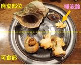 ヒメエゾボラ（青ツブ）のつぶ焼き作り方8写真