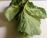 フキカレー作り方1写真