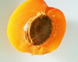あんずシロップ漬け作り方1写真