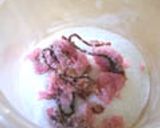 桜の香り塩作り方1写真