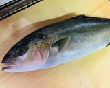 カンパチ 4日寝かせたお刺身作り方1写真