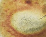 炊飯器で抹茶ホットケーキ作り方3写真