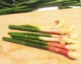 簡単材料２つ 葉生姜 さっぱりポン酢漬け作り方1写真