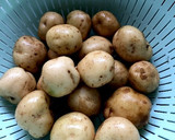 小粒の新じゃがの煮っころがし作り方1写真