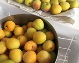 自家製 千切り紅生姜(赤しそ梅酢)作り方9写真