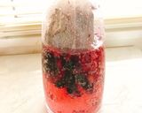 ミックスベリーの炭酸出しコーヒー(動画有作り方4写真