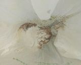 鶏から青じそ風味 スーパー袋で楽チン 作り方4写真