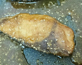 10分で簡単＊ブリのゴマ生姜照り焼き作り方4写真