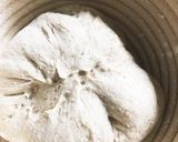 オリーブのカンパーニュ作り方8写真