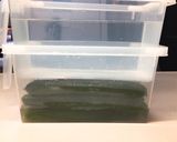 きゅうりのカリカリ漬け(ザラメ酢漬け)作り方2写真