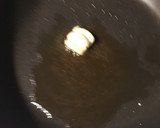 そうめんのかた焼きそば風作り方4写真