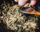 激辛っ！自家製辛子高菜作り方8写真