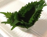具沢山・塩スープと山芋のとろとろ合わせ汁作り方9写真