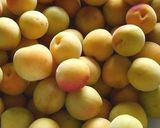 梅干しの漬け方 作り方6写真