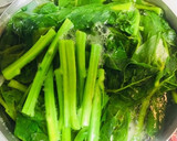 塩酒粕海苔の佃煮で♪つるむらさきの和え物作り方1写真