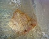 シンプル、カレー粉でインド風チキンカレー作り方2写真