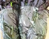 自家製☆梅干し作り方13写真
