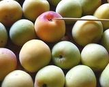 梅干しの漬け方 作り方4写真