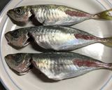 おいしいな♪あじのアクアパッツァ作り方1写真