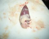 ★鉄分とろう！鶏レバちゃん★（画像あり）作り方2写真