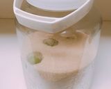 梅シロップ☆梅雨を爽やかに作り方6写真