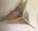 餃子の皮で簡単に☆カレー風味のサモサ作り方15写真