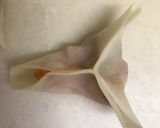餃子の皮で簡単に☆カレー風味のサモサ作り方17写真