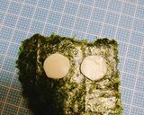 銀魂『バカンス♡エリザベス』夏弁当♡作り方7写真