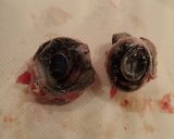 マグロ目玉の塩焼き作り方2写真