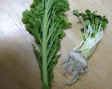 わさび菜と貝割れのお茶漬け作り方2写真