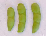 レンジで簡単！激うま、茹でない枝豆！作り方1写真