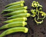 オクラと山芋の涼やか梅肉和え作り方1写真