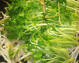 簡単！もやしと豆苗の炒め物★作り方3写真