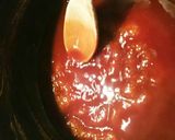 スタミナ満点長芋焼き作り方10写真