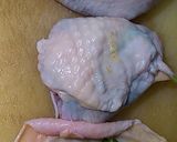 ◆鶏レバーの鳥皮包み焼焼き◆作り方3写真