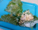 エビマヨの紫蘇包み揚げ作り方4写真