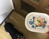 犬のおやつ☆犬用寒天ゼリー☆犬 デザート作り方7写真
