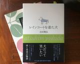 【作り置き】ミートソース作り方8写真