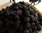 自家製無農薬ブラックベリーソース作り方1写真