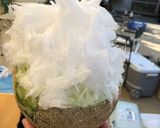 簡単 自家製 かき氷シロップ作り方7写真