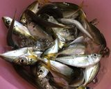 アジゴ(小アジ)の唐揚げ作り方1写真