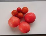 簡単副菜☆トマトの麺つゆポン酢マリネ。作り方1写真