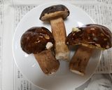 ヤマドリタケモドキの冷凍保存方法作り方2写真