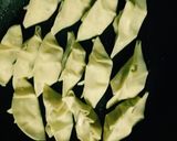ゴーヤでヘルシー なんちゃって餃子^ ^作り方6写真