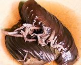 なすの田舎煮作り方9写真
