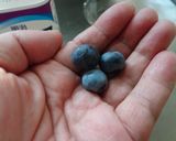 最適の生ブルーベリーの食べ方作り方9写真