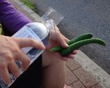 最速のわさびデップのステックサラダ作り方9写真