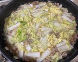 白菜と豚ひき肉の中華風炒め煮作り方5写真