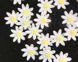 苺の雪花氷（シェーファーピン）作り方17写真