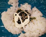 これはあり？爆！我が家のジャンクおにぎり作り方1写真